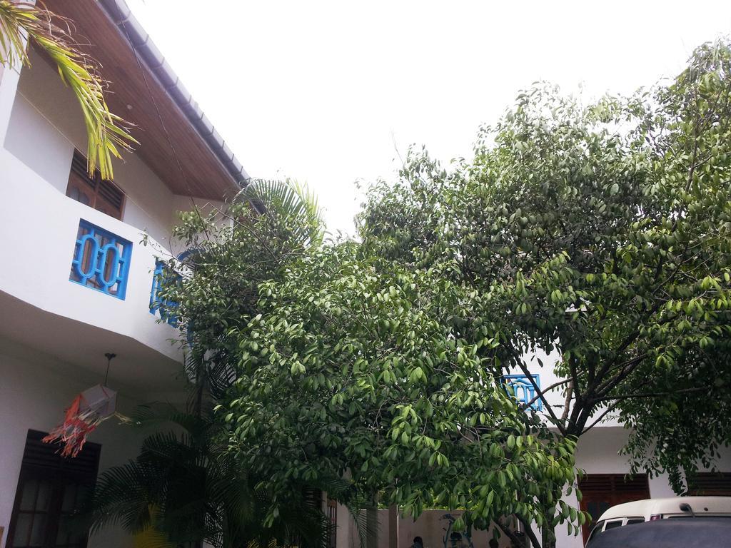 Bed and Breakfast Calidan Mirissa Exterior foto